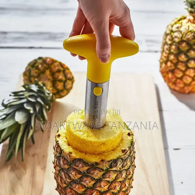 Pineapple Slicer Peeler Cutter Parer Knife Stainless Steel