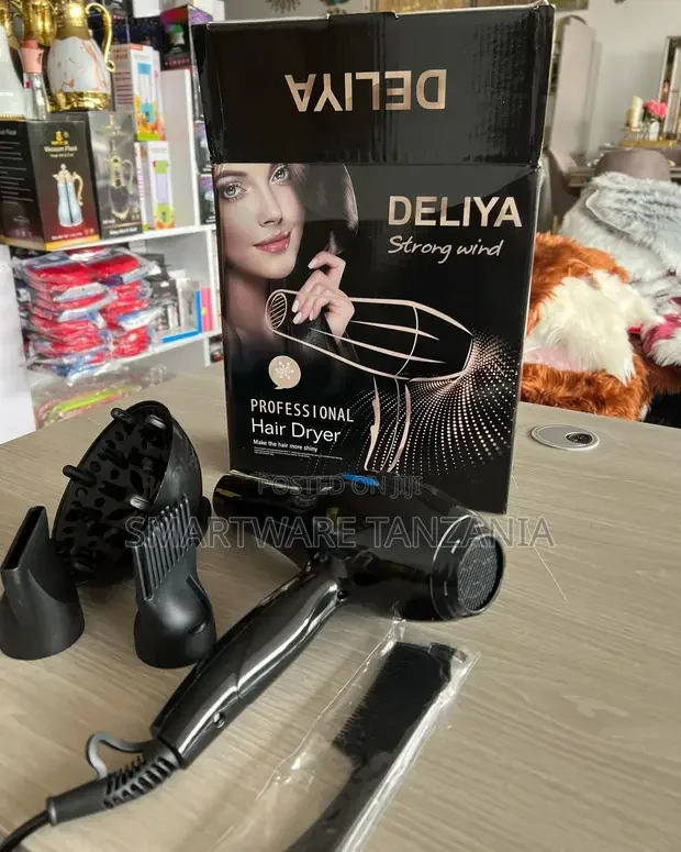 Professional Hair Dryer With AC Motor, 2 Concentrator Nozzle